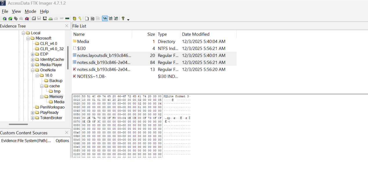 OneNote DB Extraction